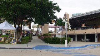 Miami Bayside