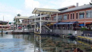 Miami Bayside