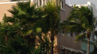 Miami Beach