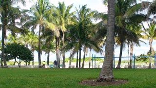 Miami Beach