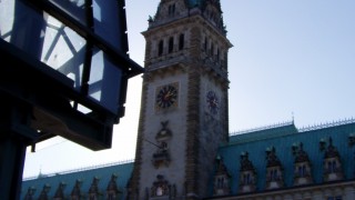 Blick auf das Rathaus von der Alster aus